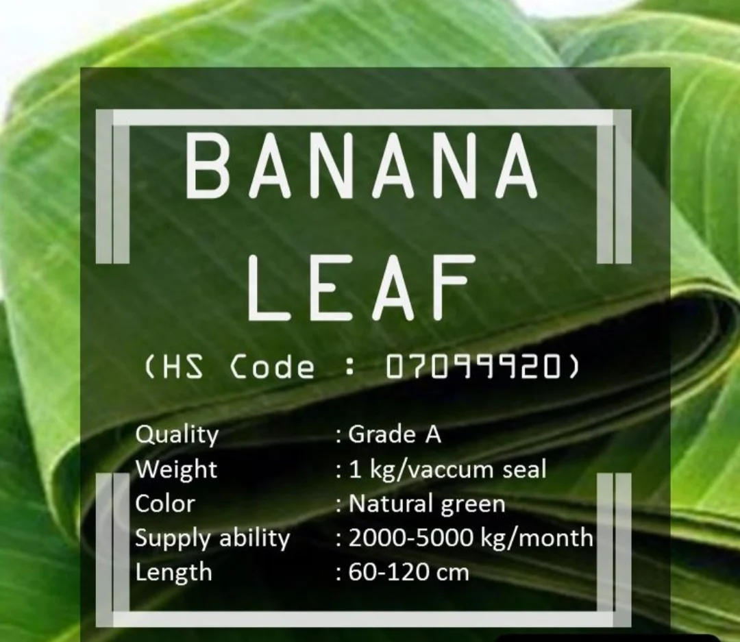 
Great Quality Indonesia Frozen Fresh Banana Leaf 100% Natural from Indonesia with Export Standard 