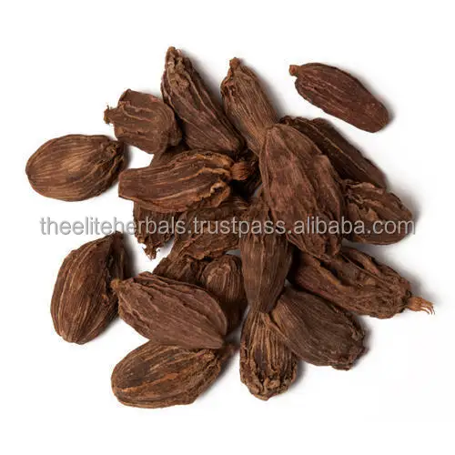 black-cardamom-500x500.jpg
