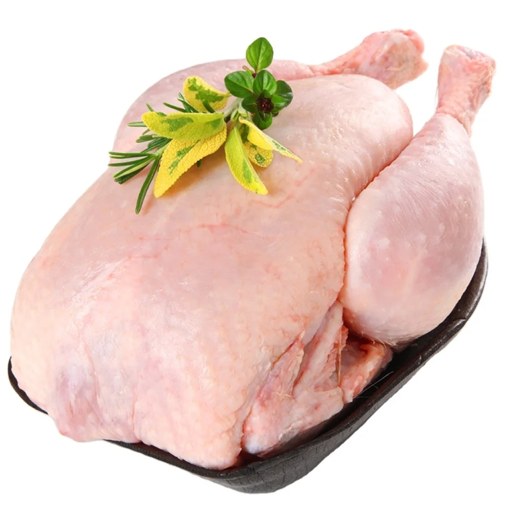 Premium Supplier Halal Frozen Whole Chicken, Processed Meat at Wholesale Price, Custom Offer Available