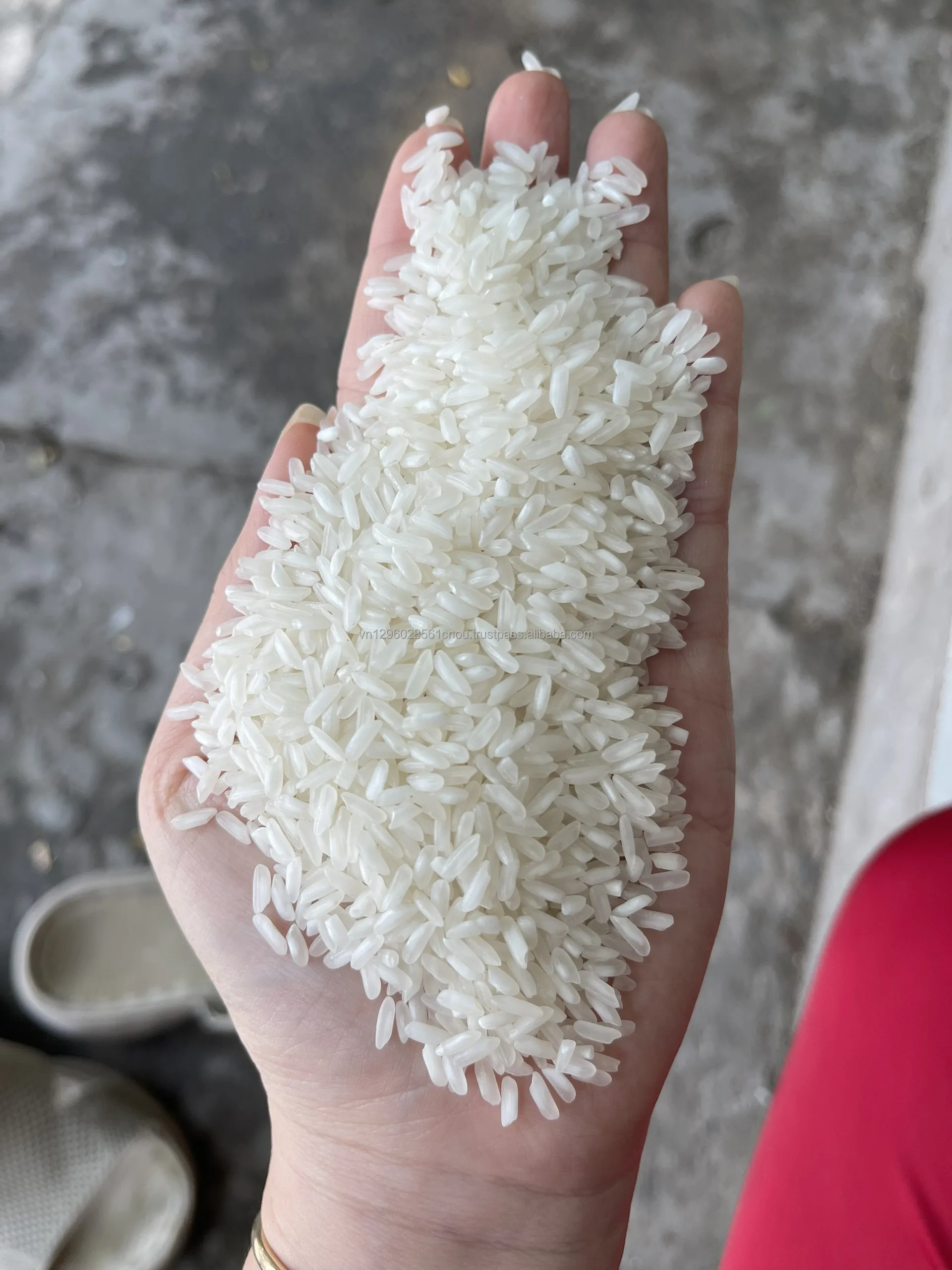 Vietnam Long grain white rice 5% 10% 15% 25% 100% Broken White Rice Bags 504 rice at Low Market Price - JANE LEE + 84968234538