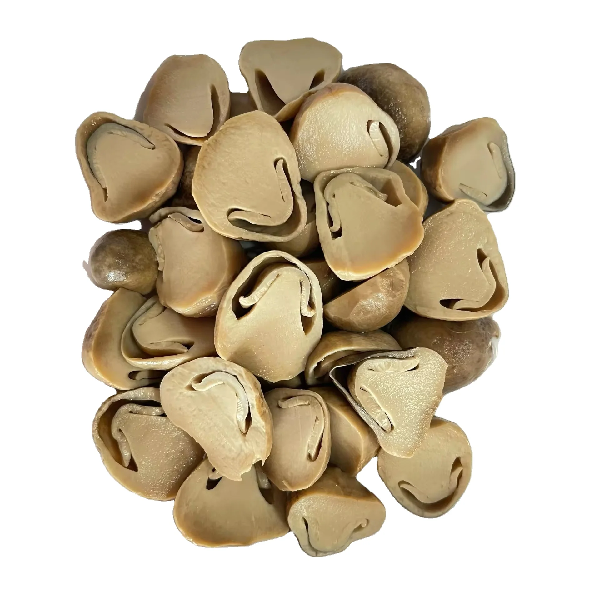 CHEAP PRICE Hot Sale Vietnam Manufacturer Supply Tasty Canned Mushroom (Stem Skin Peeld Whole Half Cut) 3kg