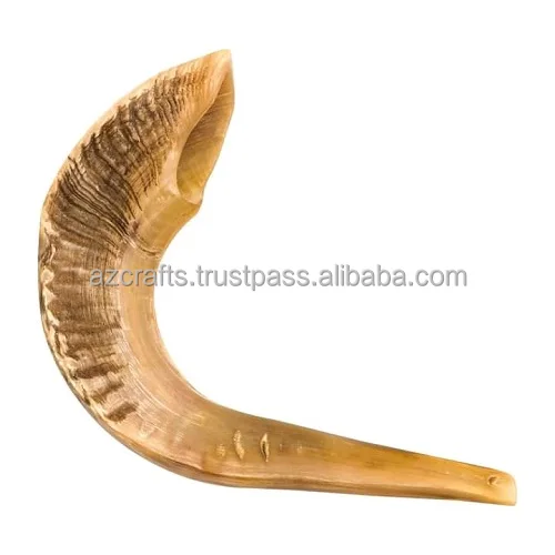  Оптовая продажа полированный Рог SHOFAR / KUDU KOSHER