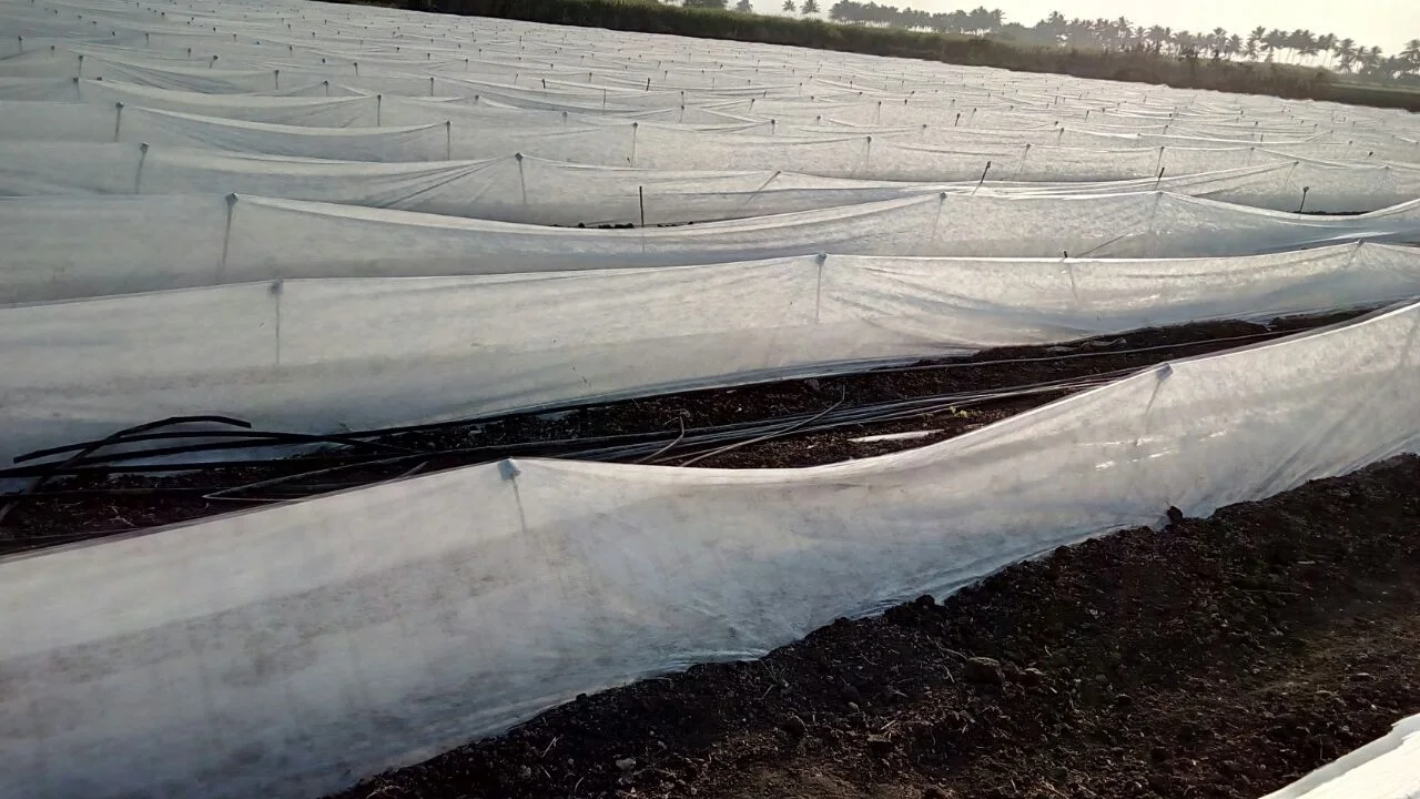 PP Spunbond Nonwoven Agricultural Nonwoven Mulch Film Ground Cover Cloth Weed Barrier Fabric