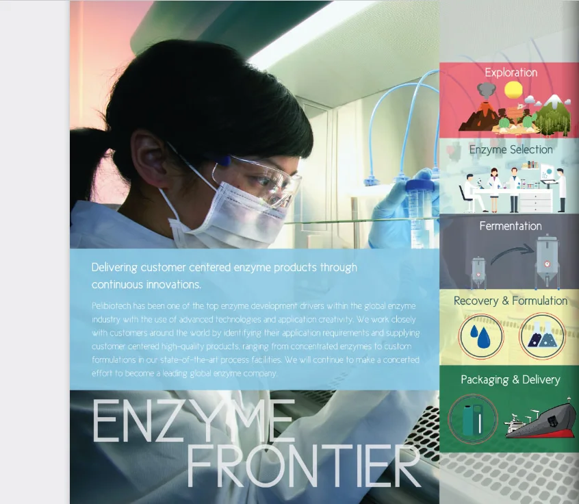 Mega DS-P07: best price  concentrated Medium Temperature Powder  Alpha Amylase designed specially for desizing of garments