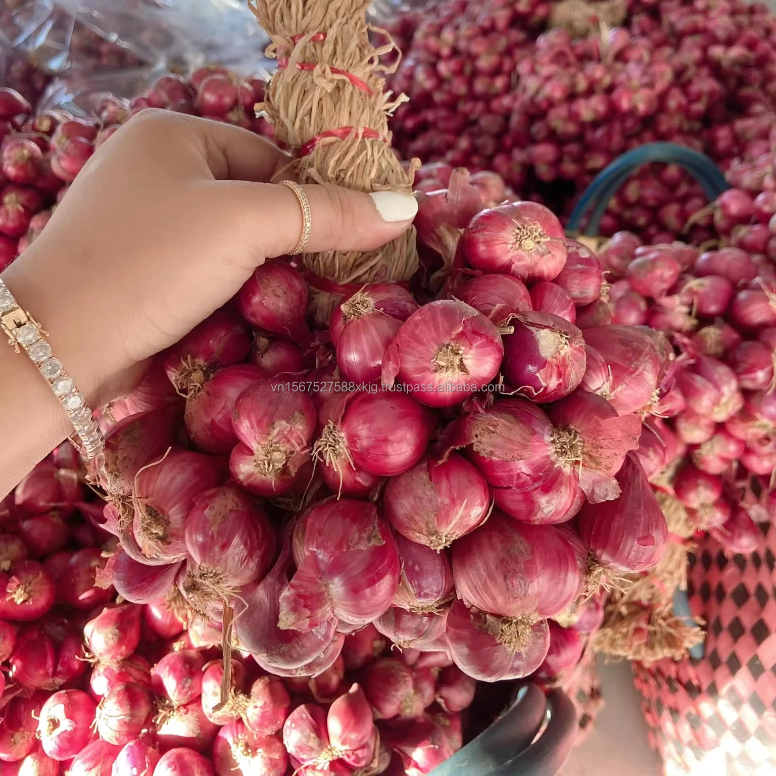 Vietnamese Export Quality Red Fresh Onions High-Grade Product in round Pattern Peeled Onions