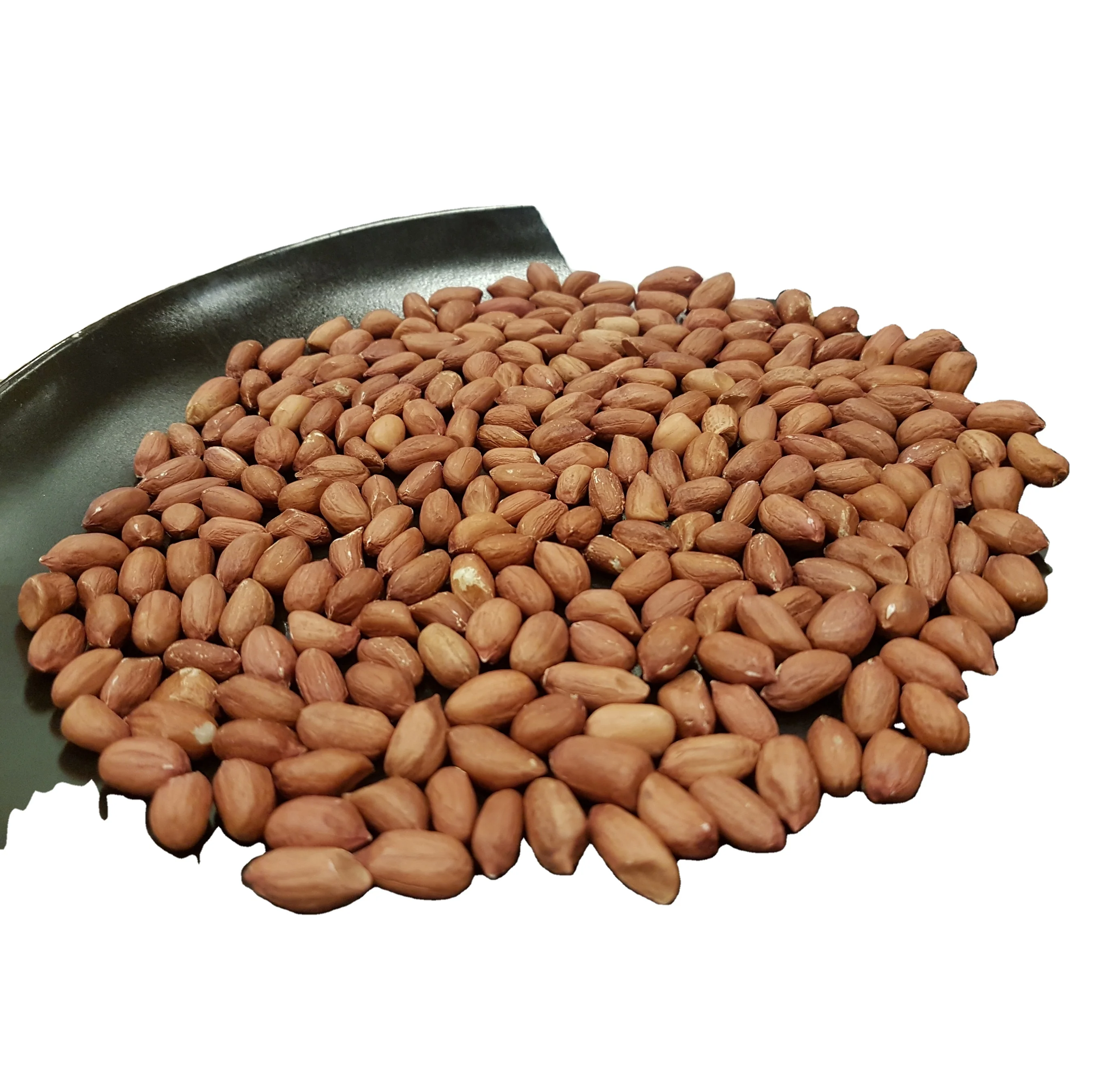 PREMIUM QUALITY BOLD PEANUTS FOR SALE GROUNDNUT 40/50 BOLD BEST PRICE COMMON CULTIVATION ORGANIC PEANUT
