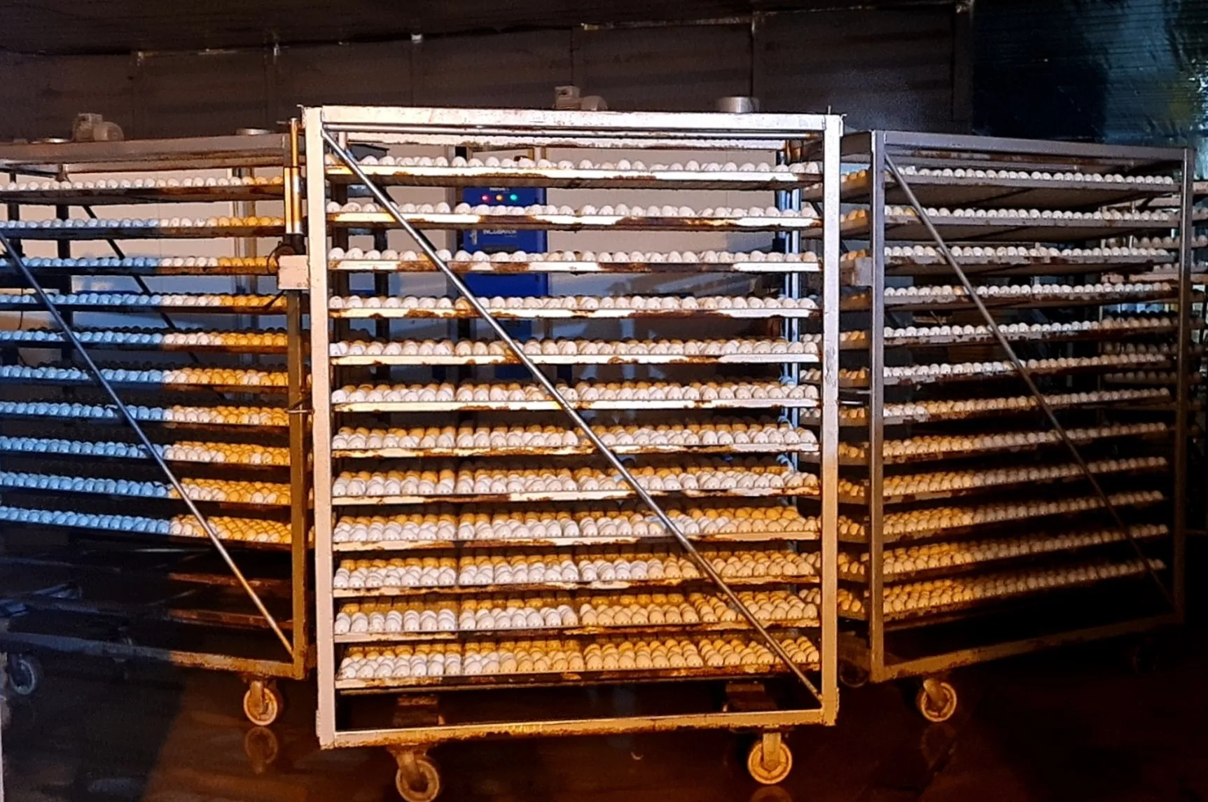 Industrial Egg Incubator Large Capacity  from Vietnam Manufacturer Top Sale Incubator 500 Eggs Hatching Machine