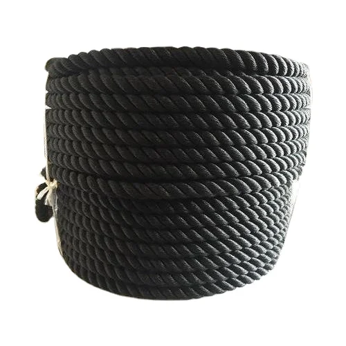 Europe Quality Ropes 3 strand or 4 strand PP Danline Twisted Packaging Rope for fishing net marine Black Polypropylene Rope India Factory