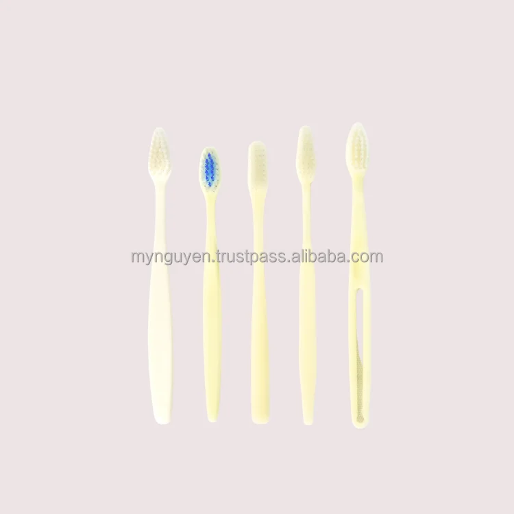 Hotel Toothbrush Modern Design Using For Tooth Cleaning Custom Oem Odm Tooth Cleaning Packaging In Box Viet Nam Manufacturer