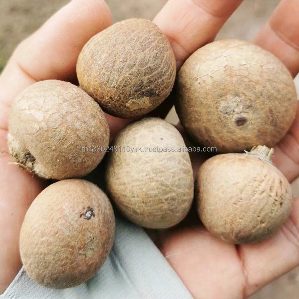 
Best Selling Export Quality Areca whole betel nut. 