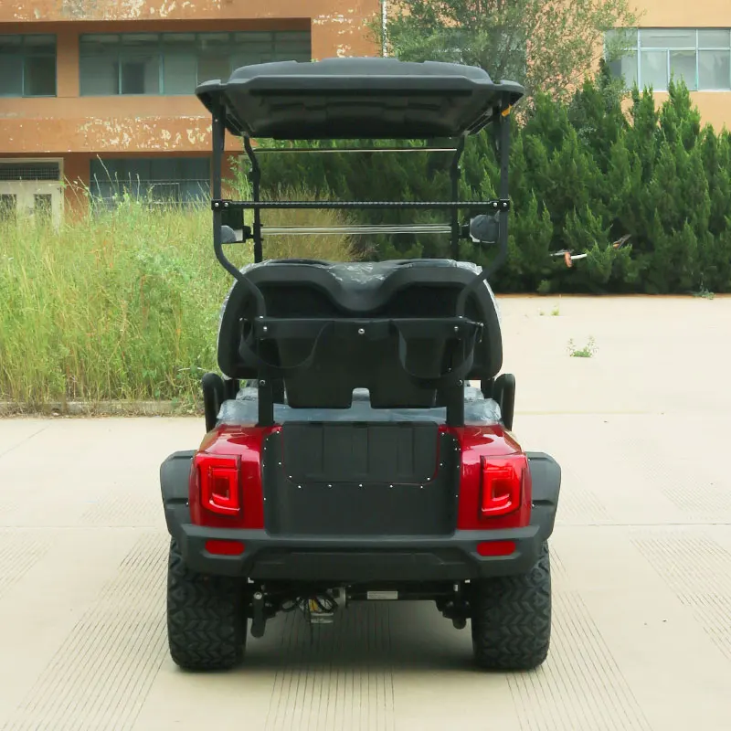 48v Electric Golf Cart 2 Seater Lithium Hunting Off Road Golf Cart Electric Sightseeing Bus with Door