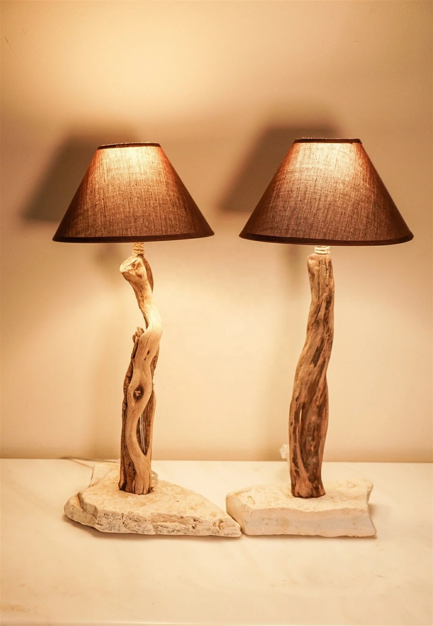 Driftwood lamp Design