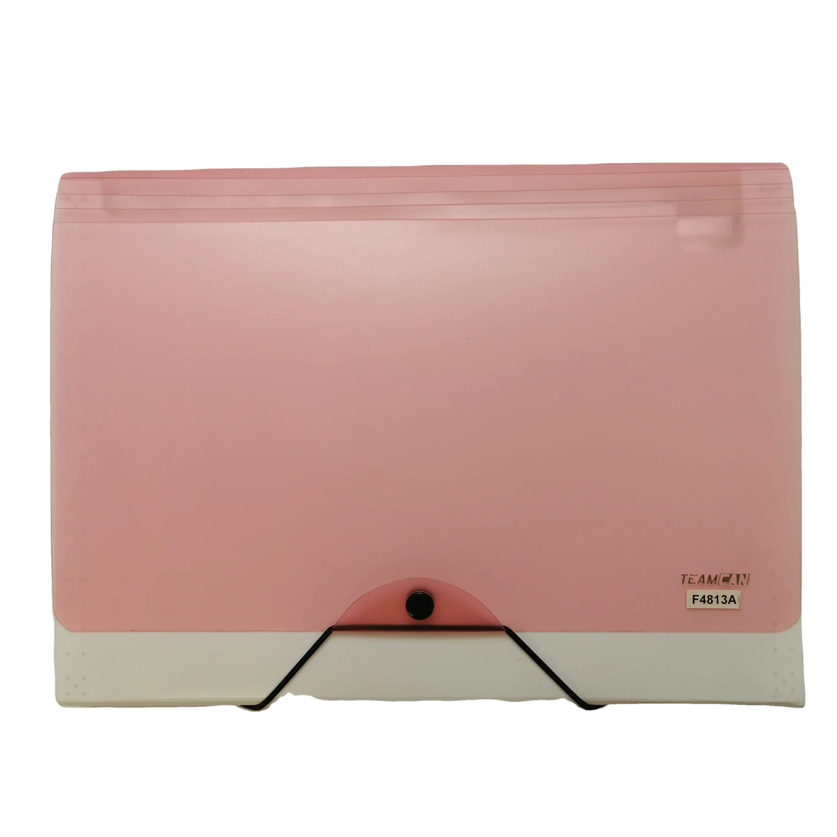 OEM канцелярский файл Резиновая лента Кнопка Сумка для документов 12 карманов расширяющийся бумажник PP