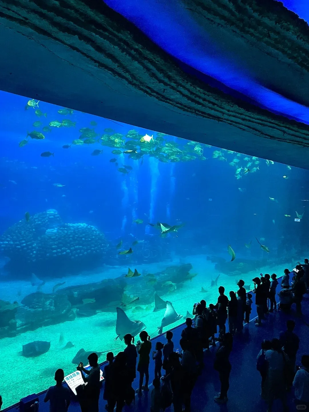Sightseeing large aquarium fish aquarium tank Acrylic Aquarium