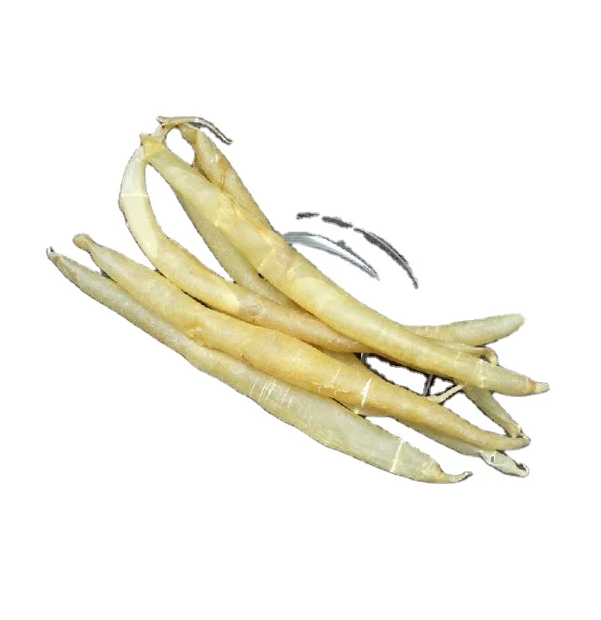 Wholesale Supplier Best Quality Eel Fish Maw For Sale In Cheap Price