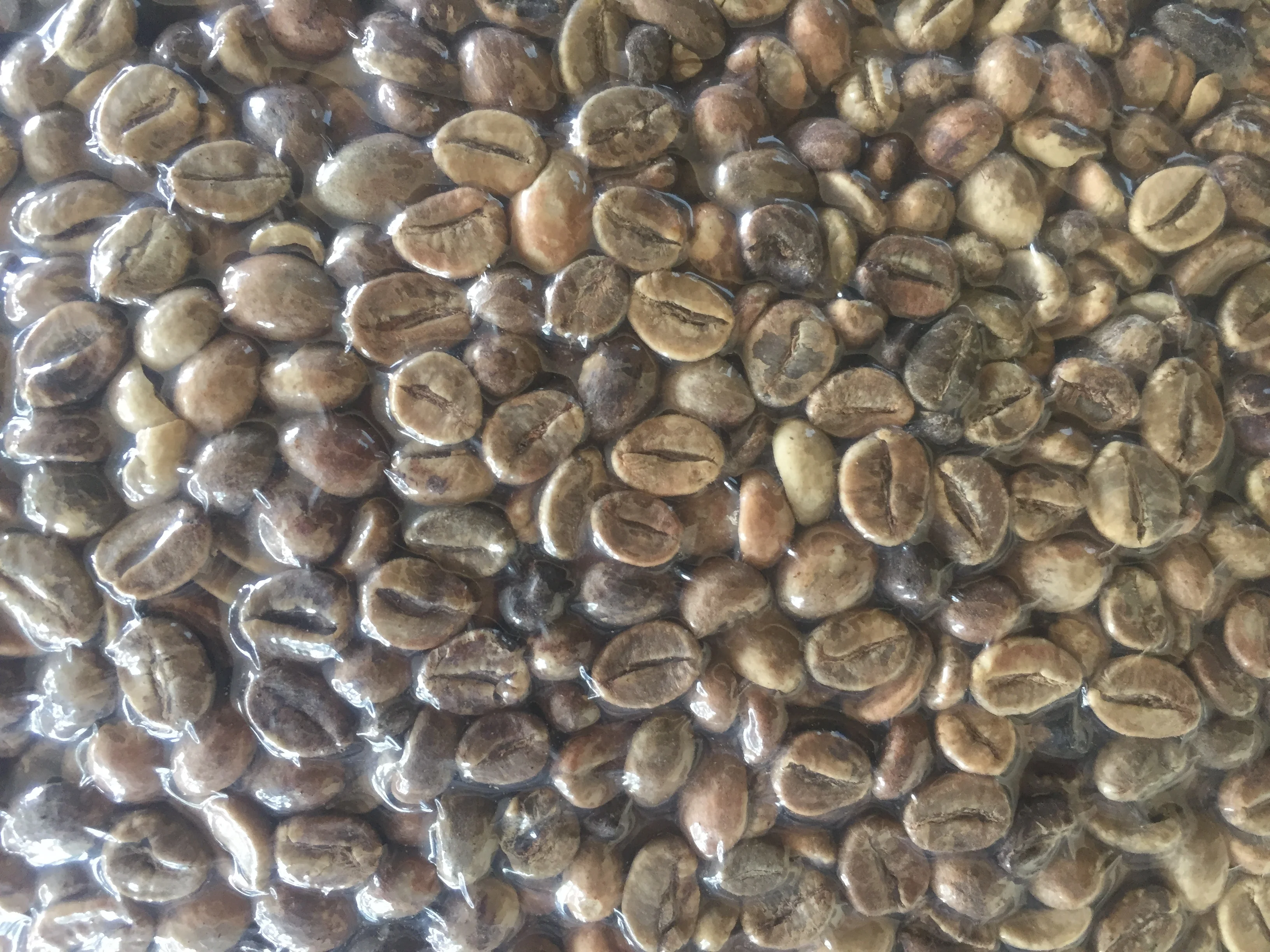  Зеленые кофейные зерна ROBUSTA TERATAI 100% натуральные лидер продаж индонезийские лучшее качество по разумной