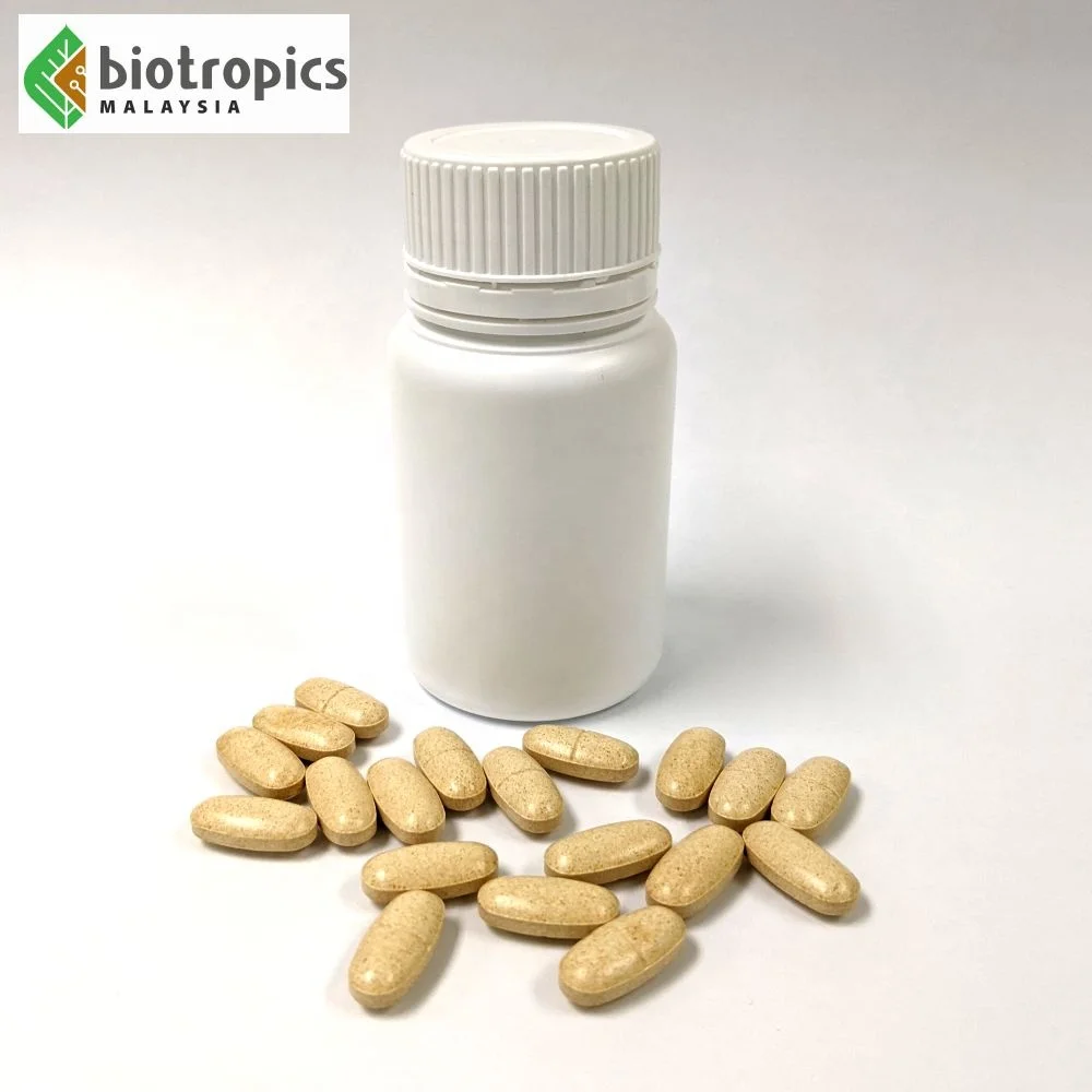 New Wholesale Ready Tablets Tongkat Ali (Eurycoma Longifolia Jack) 200mg Per Tablet Daily Dose for Health & Vitality