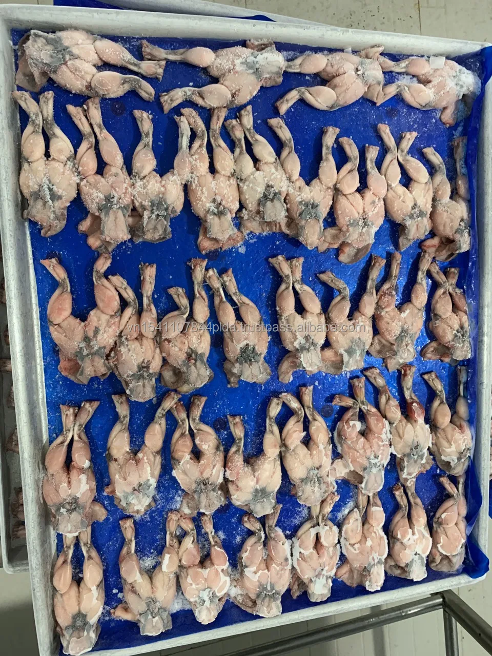  Замороженная еда для ног лягушки из Вьетнама