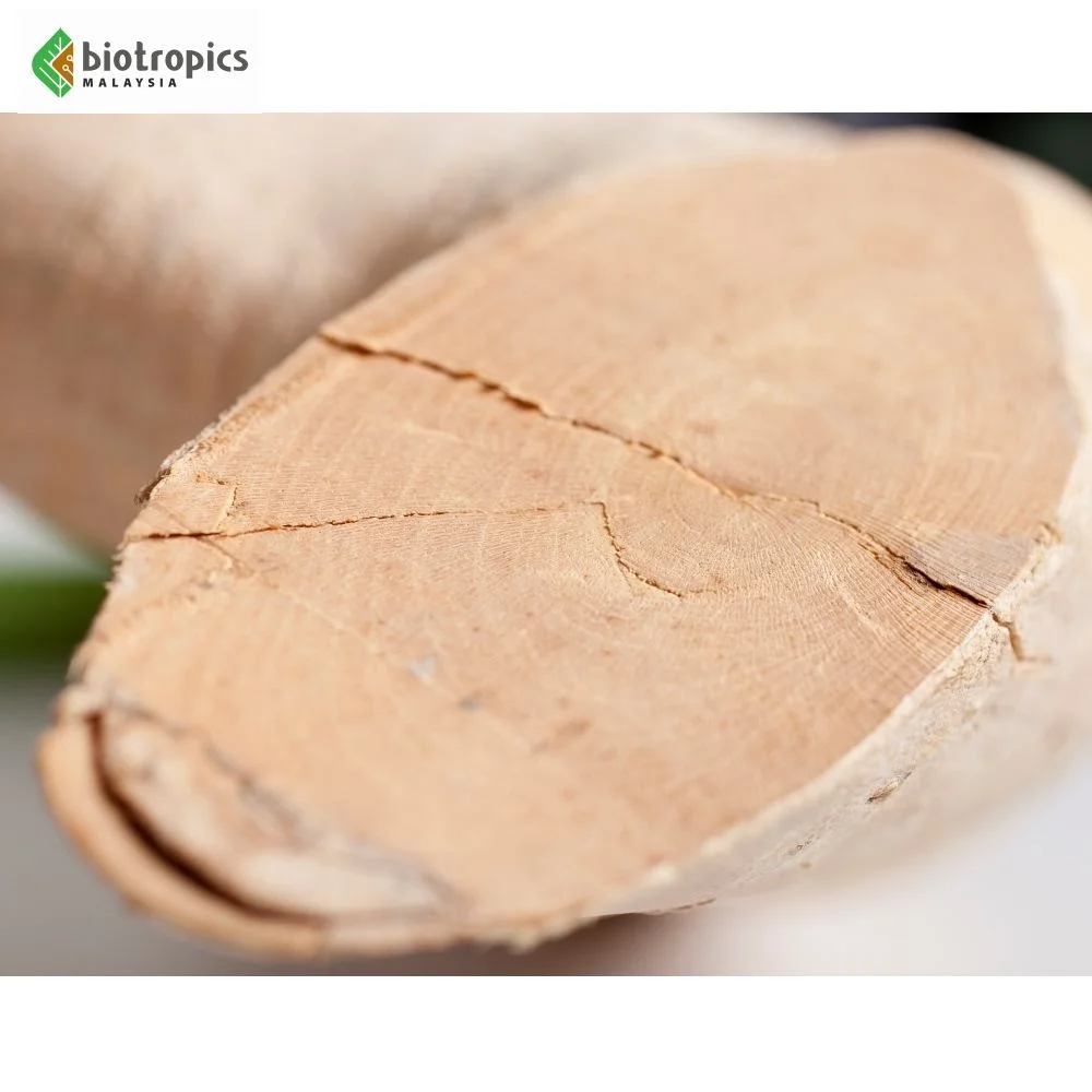 Malaysia Tongkat Ali 100% Root Part Water Extract Organic Food Grade Physta Protein Powder for Use in Food & Beverages