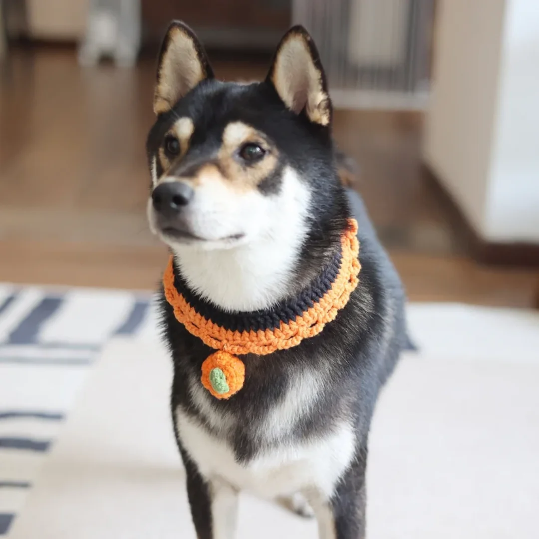 Handmade Crochet Knitted Collar for Cat Dog Pets  Necklace for Animals   from Viet Nam HOANG LINH SG Kimy +84938616690