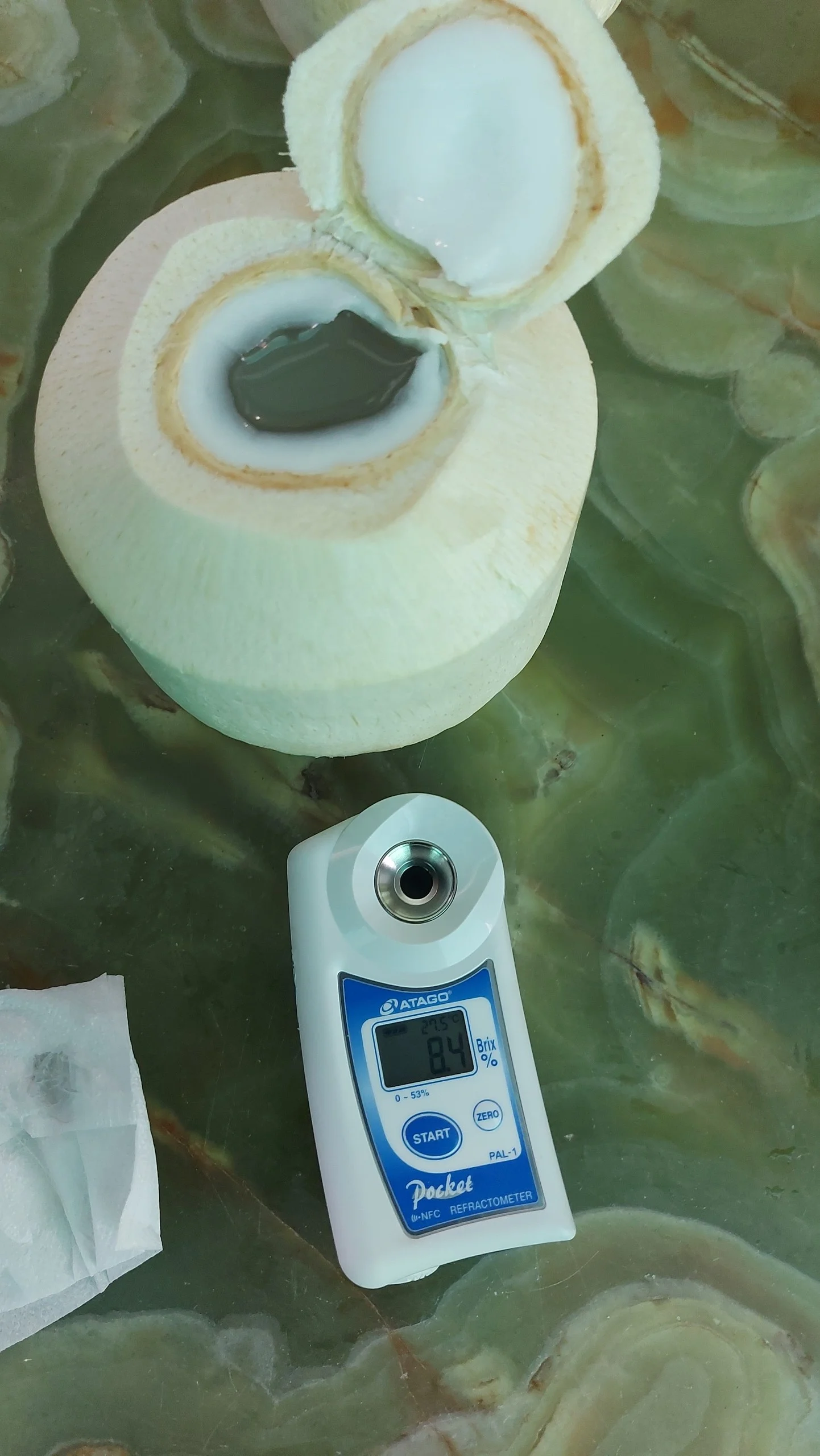 Ben Tre siamese coconut water diamond shape has the aroma of coconut with a sweet taste from factory Vietnam