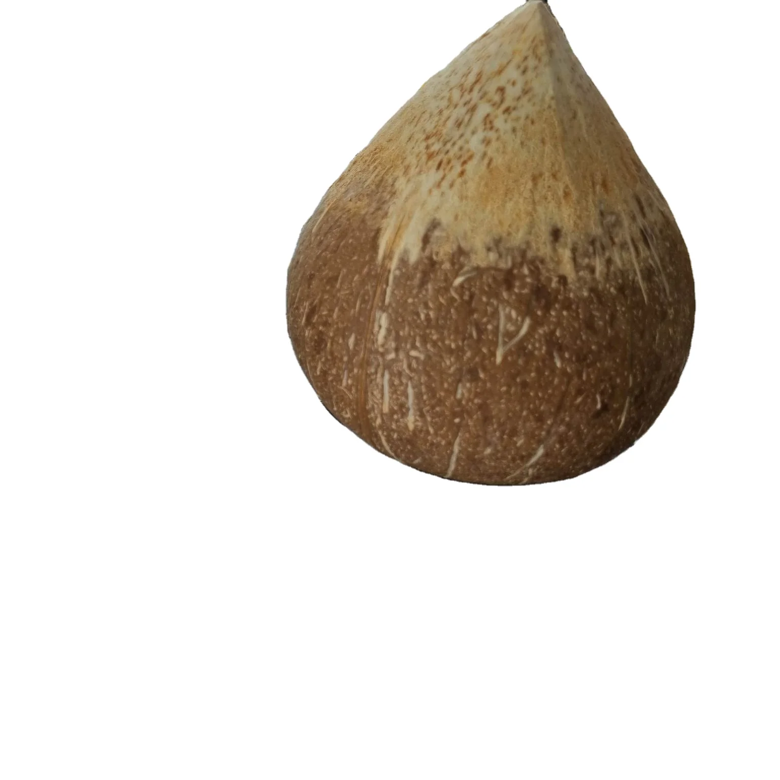 Top sale fresh coconuts semi husked coconut products dried fruit semi husked coconut From Vietnam