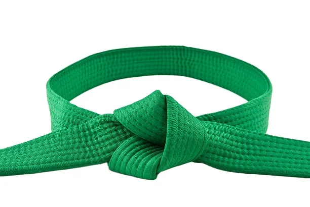 Karate Kickboxing Judo Black Belt Silk Satin MASTER-GRADE