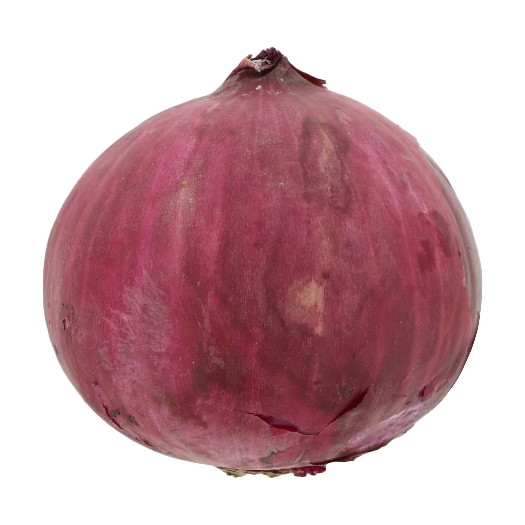 exporter wholesale Price Fresh Red Onion