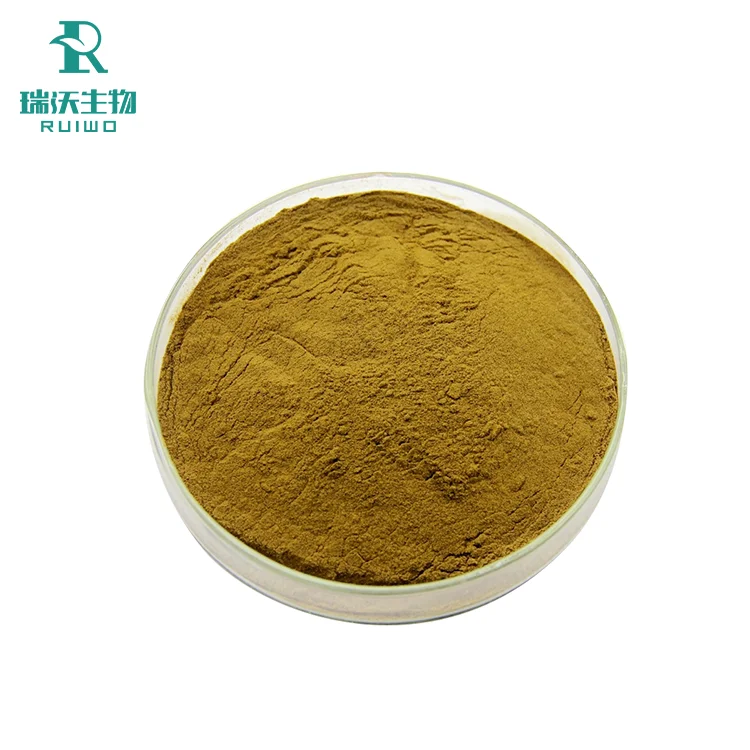 High Quality Pure Natural Hydroxytyrosol 5% 10% Oleuropein 20% 40% Olive Leaf Extract