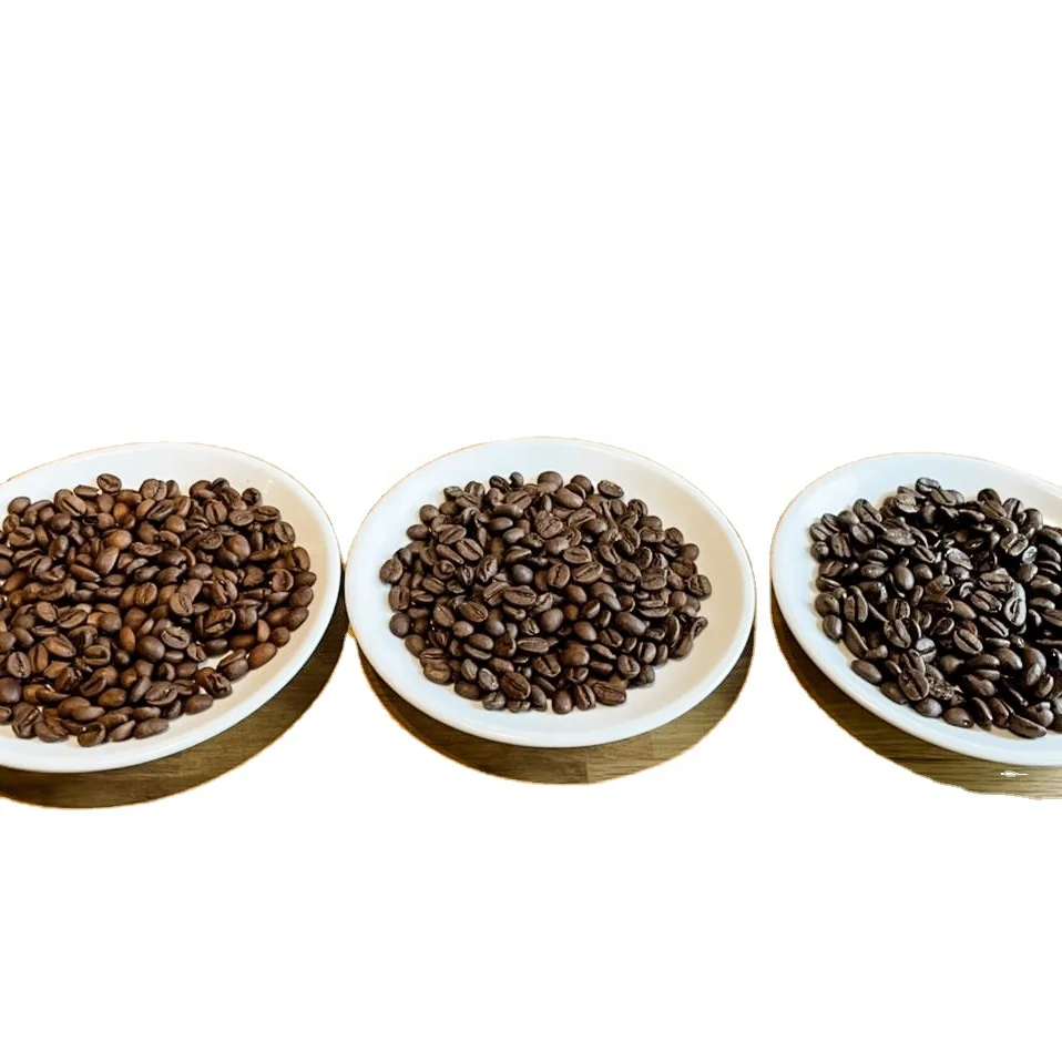 Roasted Arabica Medium S16 Processing Method Red Honey Balanced Tastes Single Origin Cau Dat Vietnam New Crop 2023-2024