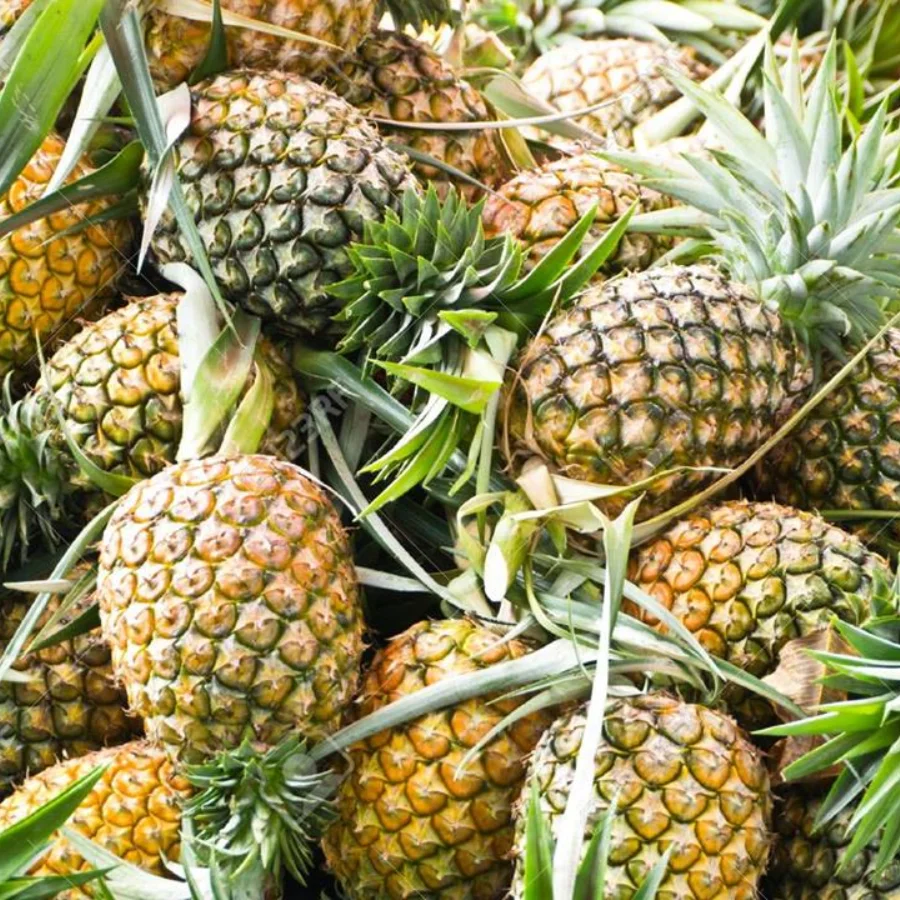 [Лидер продаж 2022] Свежий ананас высокого качества, оптовая продажа, хорошая цена, 100% из Вьетнама