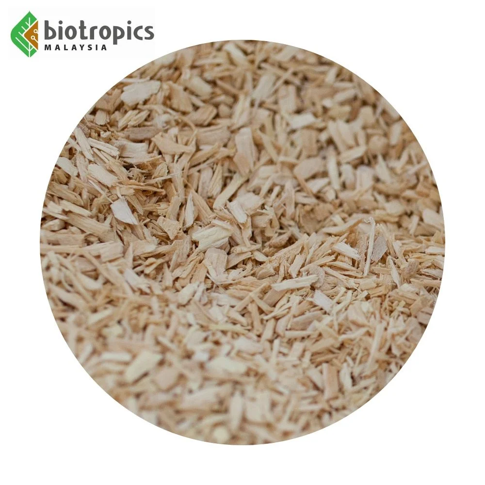 New Tongkat Ali Herbal Extract Powder Less Bitter as Ready Ingredient for Food & Beverages Halal Kosher GMP HACCP ISO