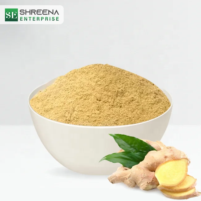 Wholesale 2022 Ginger Powder Hot Sale Organic Water Soluble Ginger Root Extract Powder