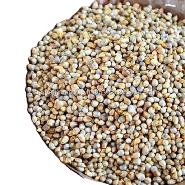 Высококачественное зеленое Просо для корма для птиц