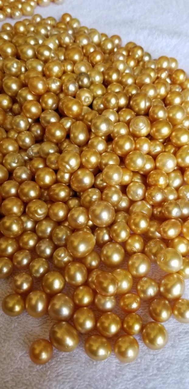 
LOOSE DROP SHAPE SALTWATER SEAWATER SOUTH SEA PEARL 