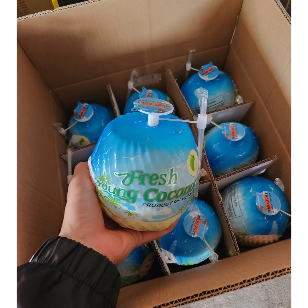 Fresh Coconuts Wholesales 2024 Vietnam Coconut Easy Open High Quality Green Coconut in Viet Nam Ready To Ship