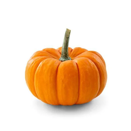 Best Quality Fresh Pumpkins for sale at wholesale prices.