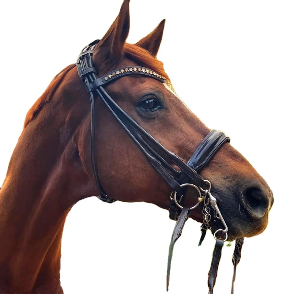 Свернутая кожаная уздечка на высококачественной индийской коже с лакированной кожей SS пряжками и мягкой подкладкой из коровьей кожи