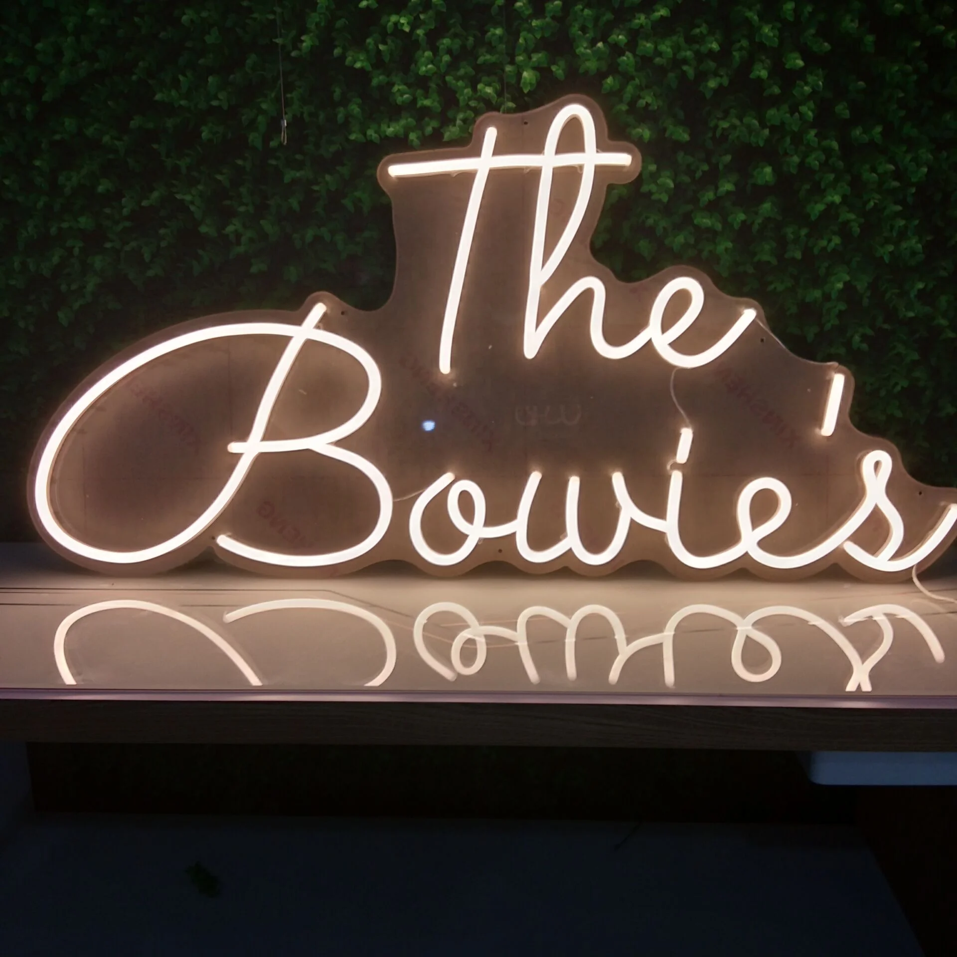 Winbo Wall Art Sign Bedroom Decoration Rainbow Hanging Fashion Custom Neon Animal Lights Night Lamp Led Neon Light For Home