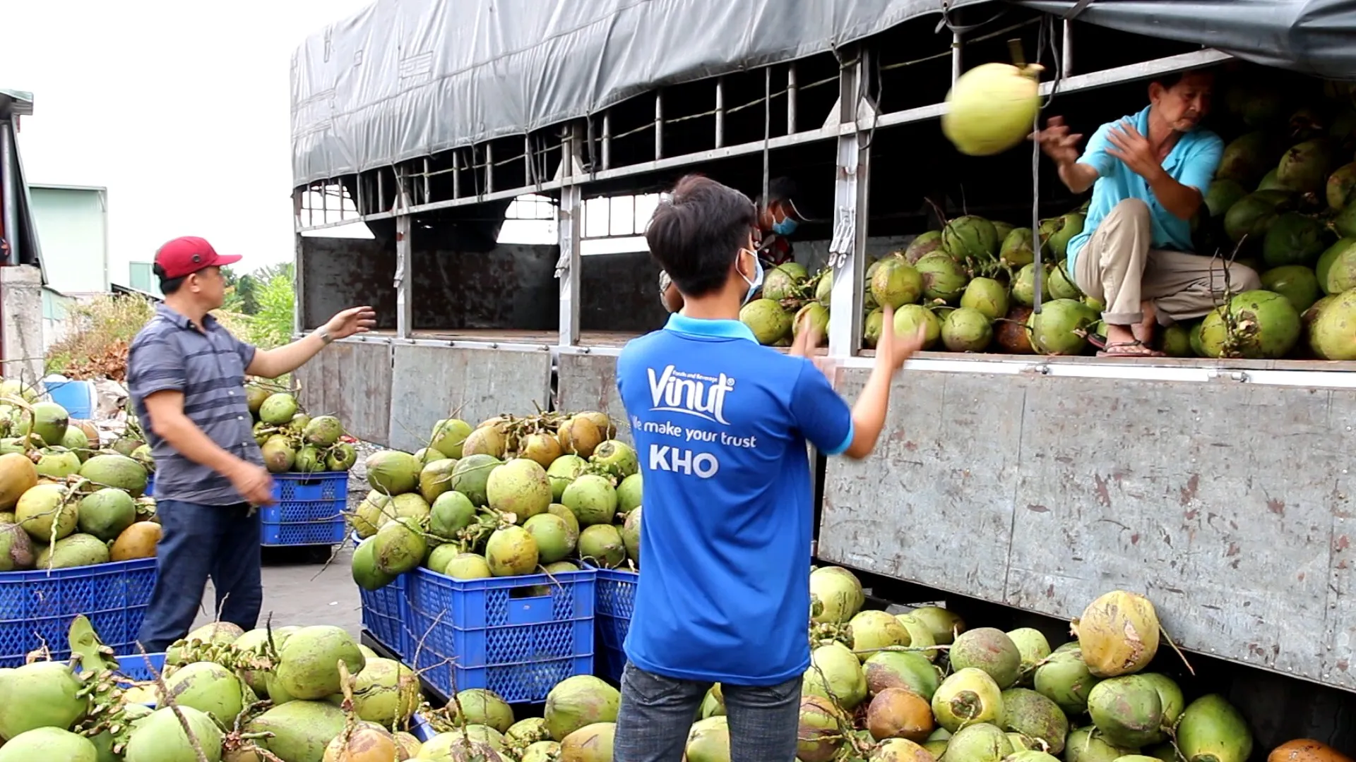 200ml Can (Tinned) Coconut Milk for cooking 12-14% Fat UHT Gluten Free and Vegan Product with Halal