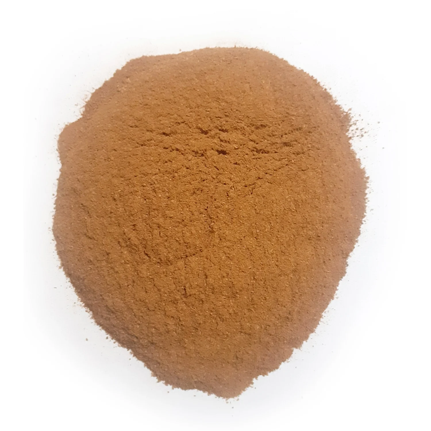 High Quality 100 Mesh Cinnamon Powder GMO-Free Ceylon Herb Raw Dried Processed Spice Secret Ingredient Elevate Your Culinary