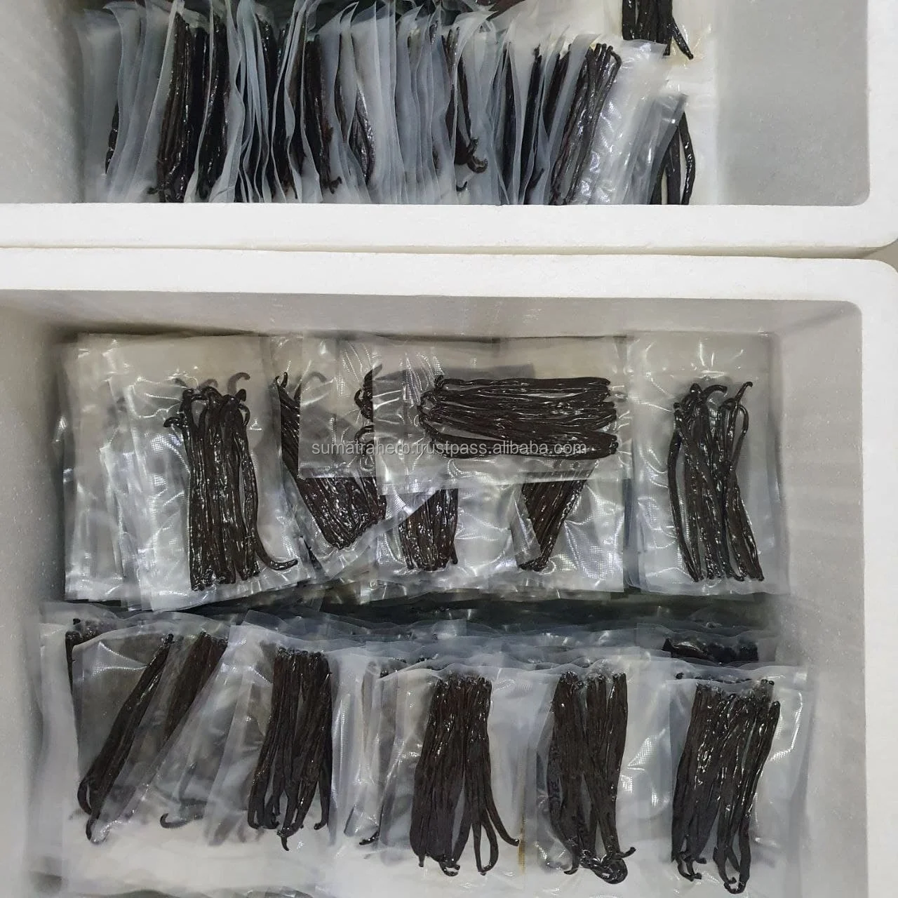 GOURMET PLANIFOLIA 2