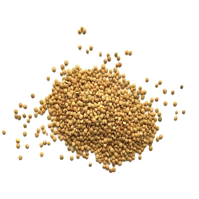 Лидер продаж, семена кунжута высшего качества, без ГМО, семена белого кунжута, сухофрукты и пряности из индейки