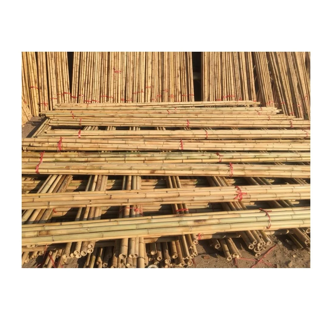 HIGH QUALITY Bamboo Natural Bamboo Sticks /Cut Bamboo Sticks/ Natural Bamboo pole cane craft material ( whatsapp 0084587176063)