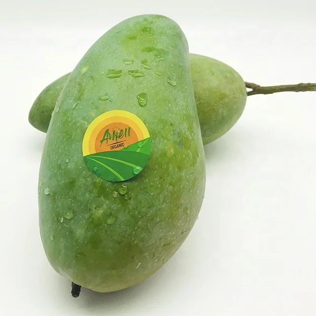 Best Quality Green Mango From Viet Nam