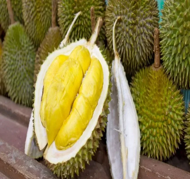 High Quality Fresh Durians from Vietnam Competitive Price Product