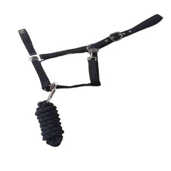 Quality Horse Riding Apparel Halter and Lead Rope matching Sets Horse Supplies Online Saddlery miniature foal Warmblood Draft