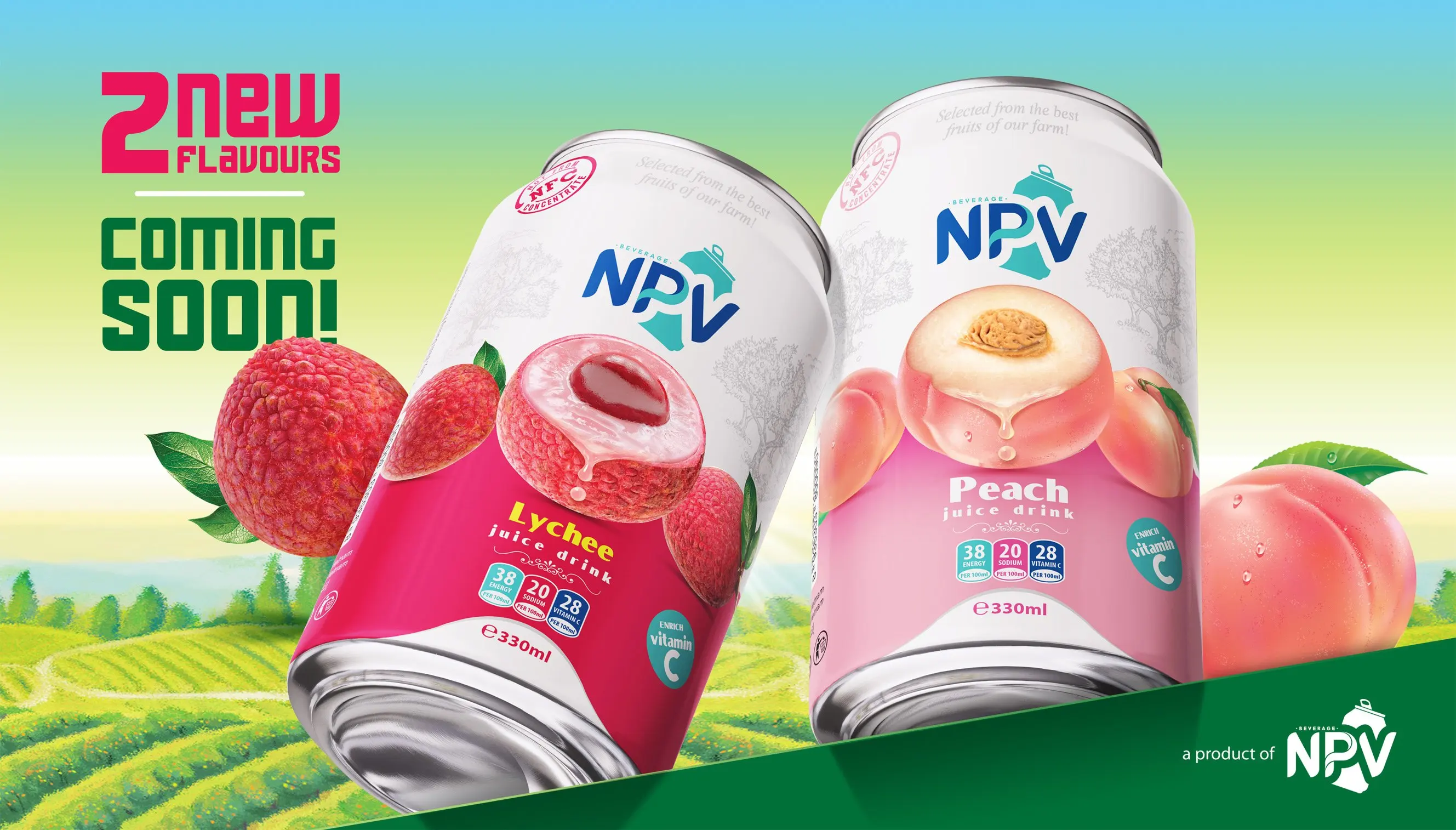 Supplier Private Label OEM 450ml Pet Bottle Tropical Fruit & Vegetable Juice Private Label Orange Juice Drink Low MOQ