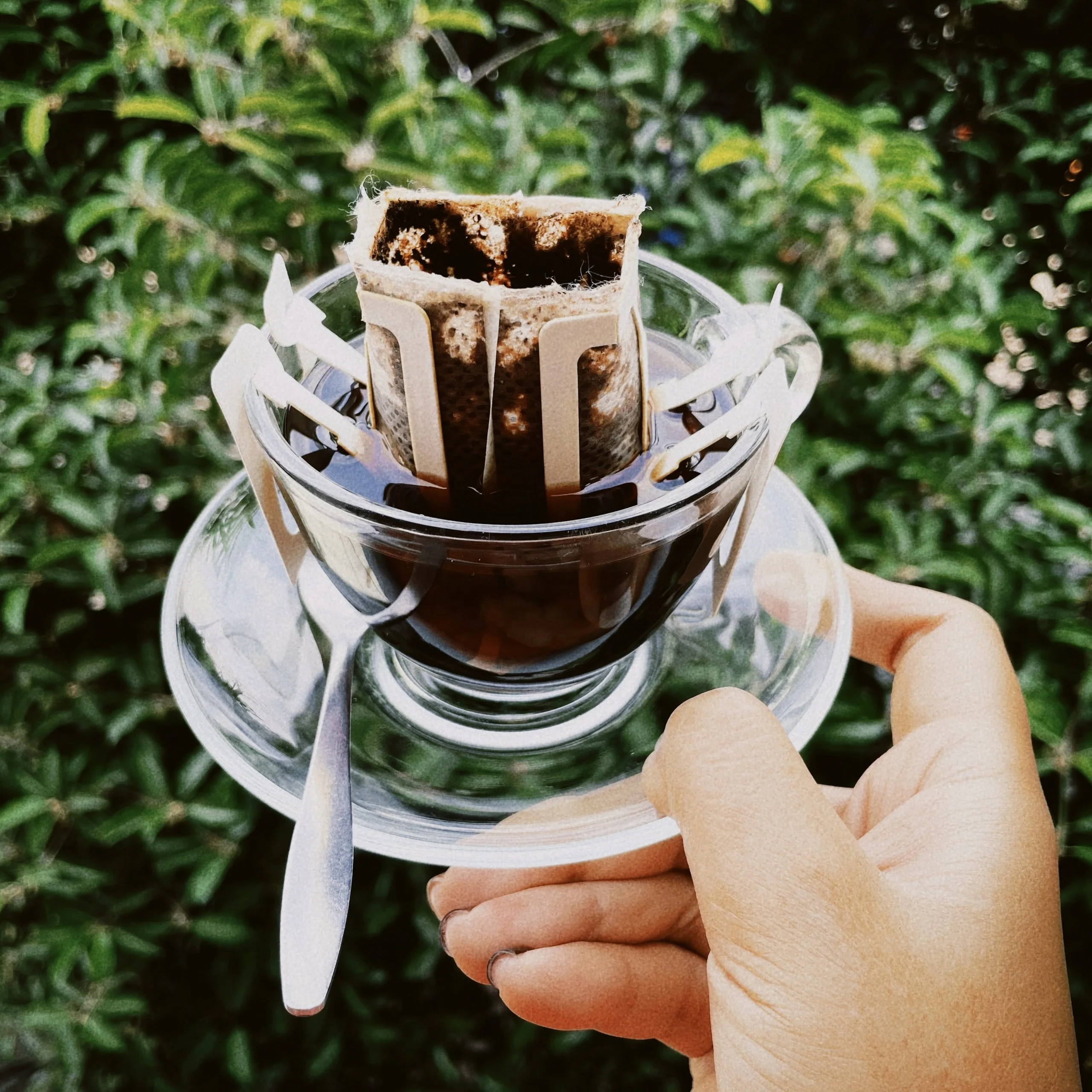 Ground Coffee Drip Bag Slow Drip Paper Filters with Hanging Ears Ready to Brew Premium Arabica Robusta Coffee Box of 10 Packs