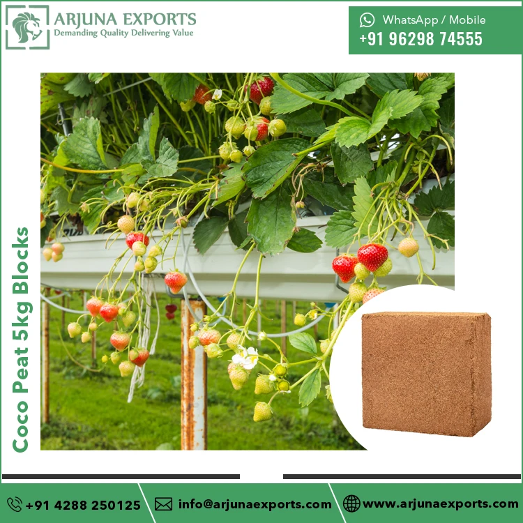 Hydroponic Growing and Agriculture Use of Coconut Coco Peat or Coir Pith 5kg Bricks at Reliable Market Price